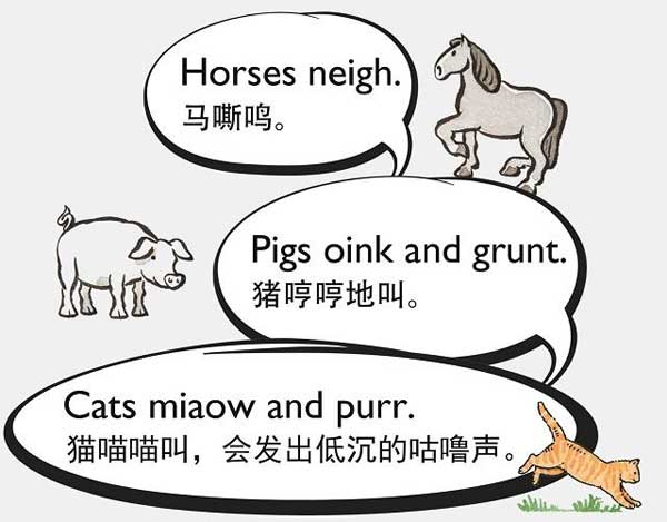自然界中有各種聲音 如何用英語來描述動物的叫聲？