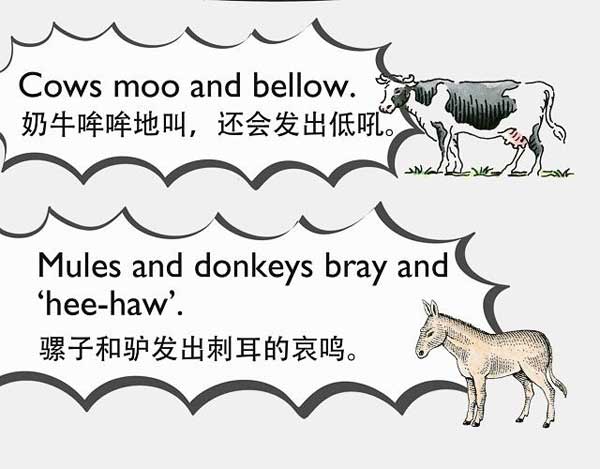 自然界中有各種聲音 如何用英語來描述動物的叫聲？