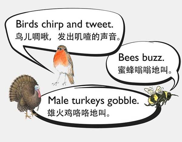 自然界中有各種聲音 如何用英語來描述動物的叫聲？