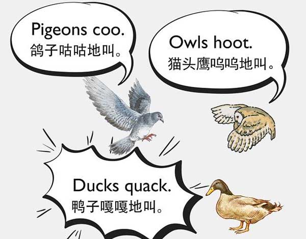 自然界中有各種聲音 如何用英語來描述動物的叫聲？