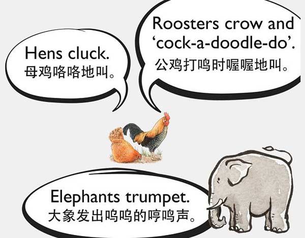 自然界中有各種聲音 如何用英語來描述動物的叫聲？