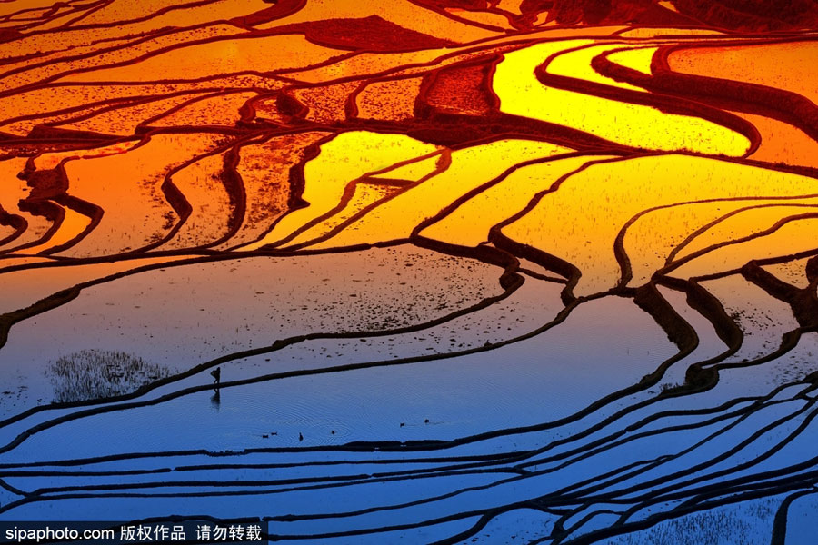 春回大地草木萌動 盤點(diǎn)那些農(nóng)田光景返樸歸真（組圖）