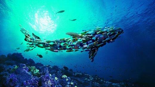 觸目！浮游生物首次被拍到攝入塑料