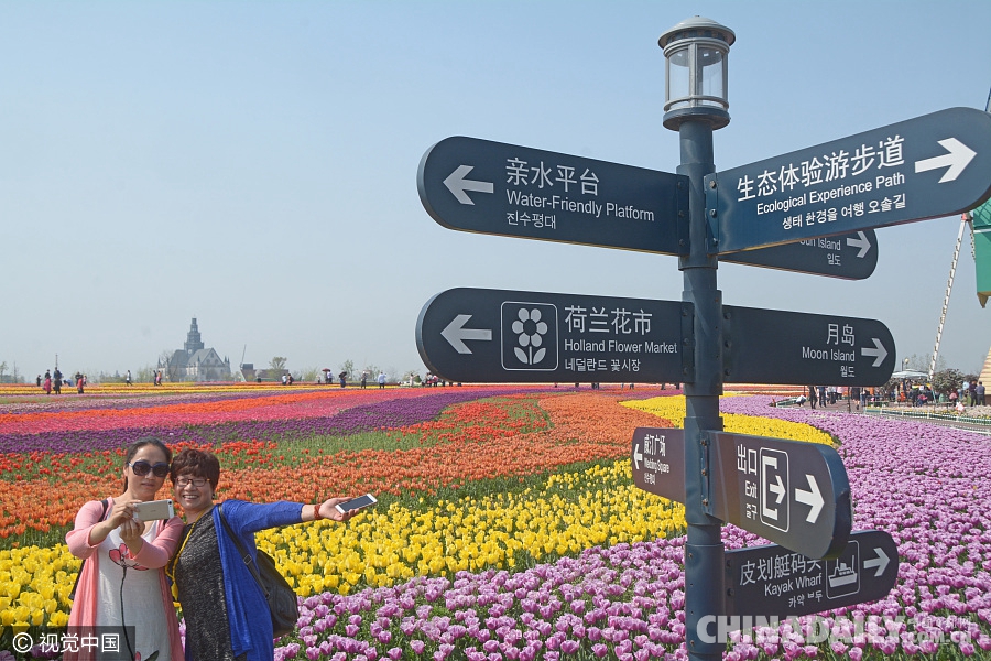 大好春光豈可負？世界各地盡享花海美景（組圖）