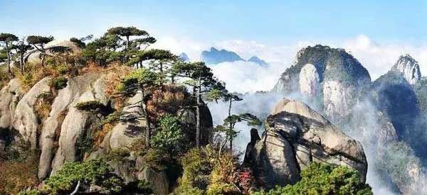 “小心地滑倒”？雷人翻譯終于有人管了，國家給出公共場所英譯標(biāo)準(zhǔn)答案！