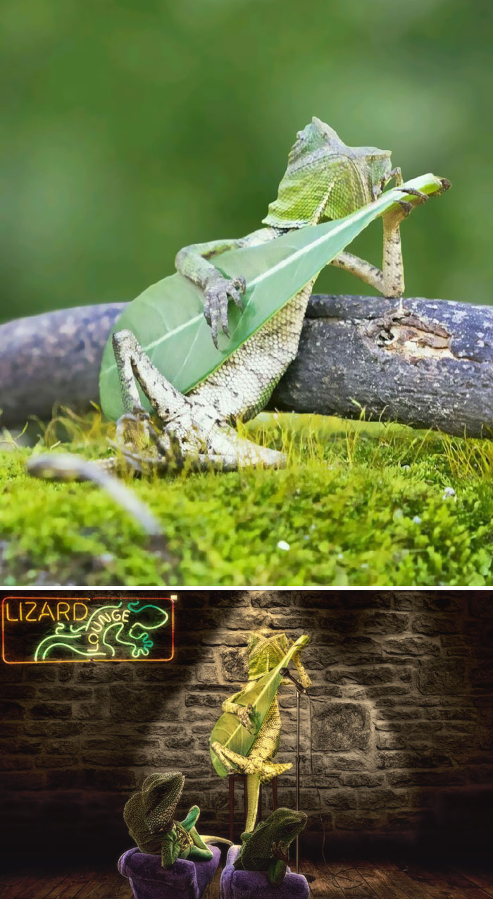 網(wǎng)絡(luò)PS大戰(zhàn)：誰是贏家？（組圖）