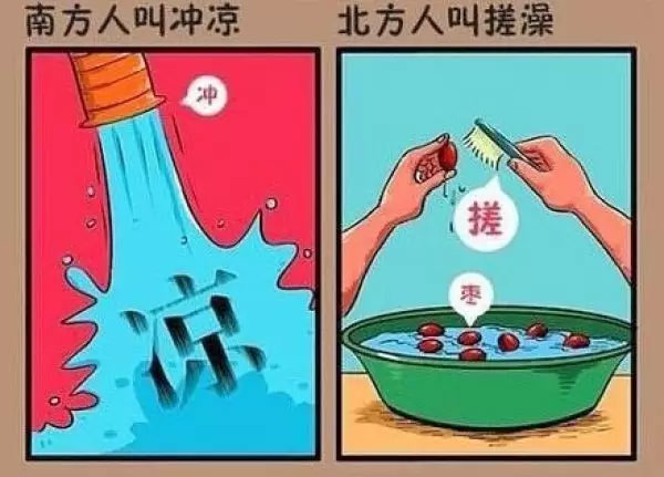 “南北差異”大討論：南方買菜買一頓，北方買菜買一噸？