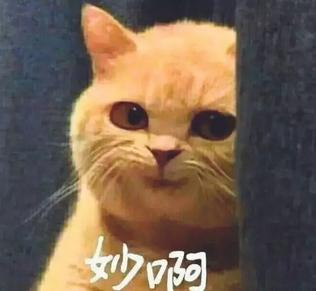 揭秘各國兵哥哥的野戰(zhàn)口糧！看到韓國的，忍不住笑出了聲…