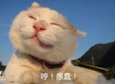 萬萬沒想到！七個讓你驚呼“厲害了”的冷知識