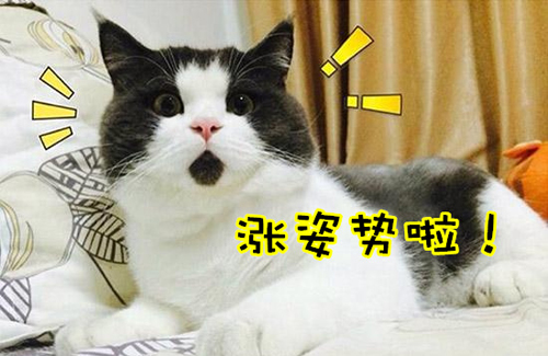 萬萬沒想到！七個讓你驚呼“厲害了”的冷知識
