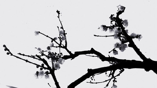 翻譯輕重“神”在先，古典翻譯為今人