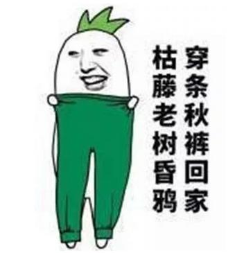 秋冬御寒指南：秋褲穿不穿，這是個問題