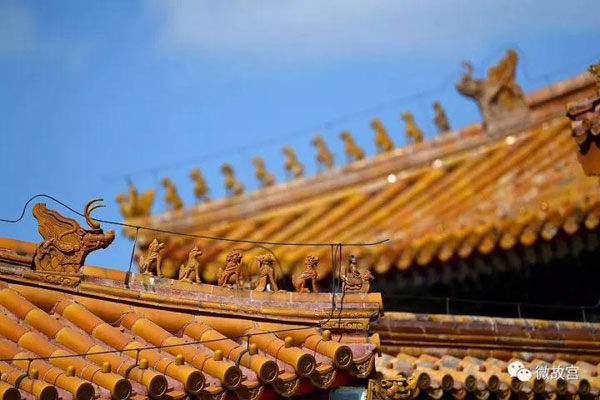 習近平特朗普同游故宮！那些讓特朗普驚嘆的殿、樓、齋，用英文怎么說？
