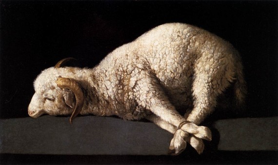 替罪羊（scapegoat）、敗家羊（black sheep），為何英語中背鍋的總是羊