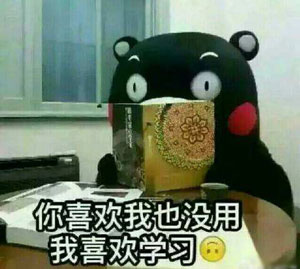 適度自戀更容易走上人生巔峰？