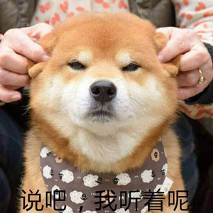 如何高級(jí)又委婉地表達(dá)“你很蠢”？