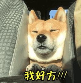 支付寶年度賬單挖了個大坑，你也不慎掉進去了嗎？