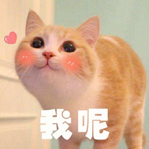 調(diào)查顯示狗奴比貓奴賺得多，你覺得準嗎？