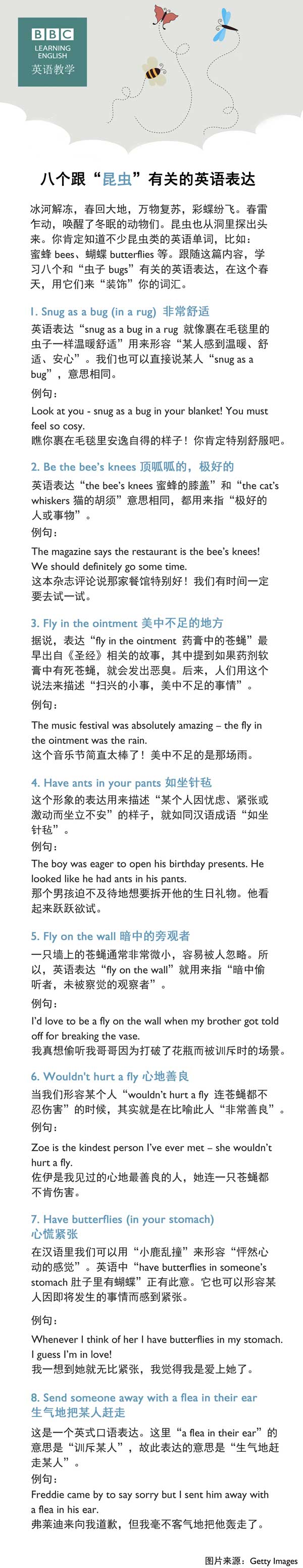 八個(gè)跟“昆蟲”有關(guān)的英語(yǔ)表達(dá)