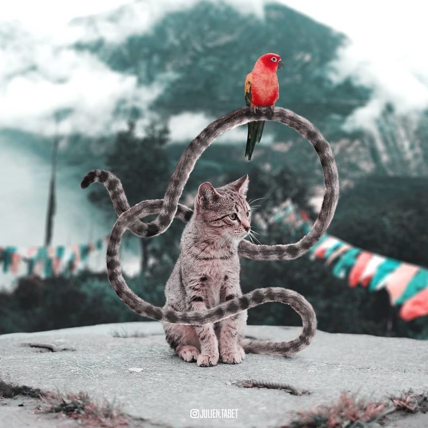 法國PS達(dá)人創(chuàng)造出“神奇動(dòng)物”（組圖）