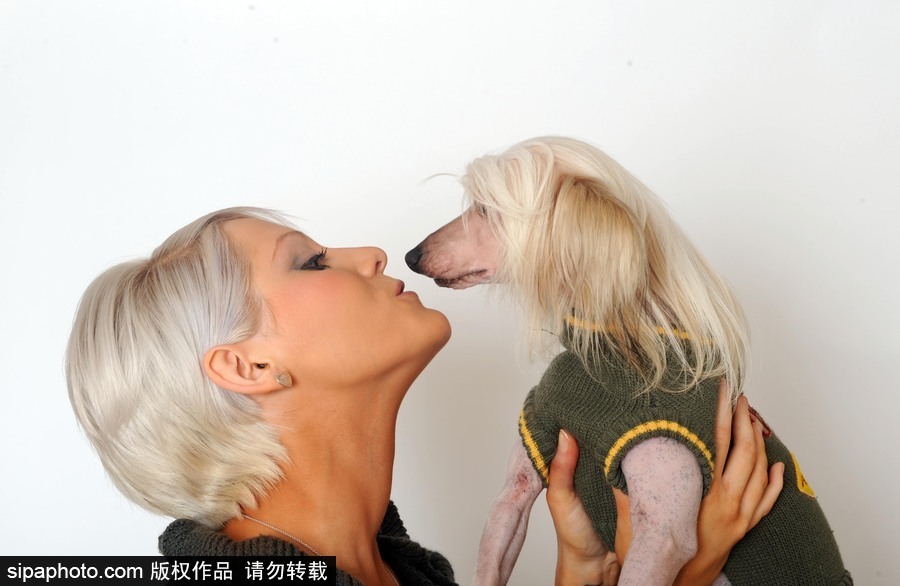 人不如狗系列！走進全世界最奢華的狗狗生活（組圖）