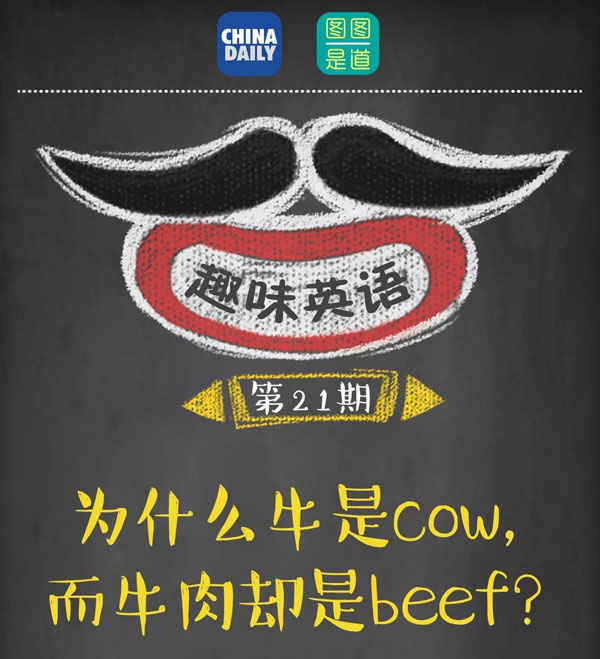 為什么牛是cow，而牛肉卻是beef？