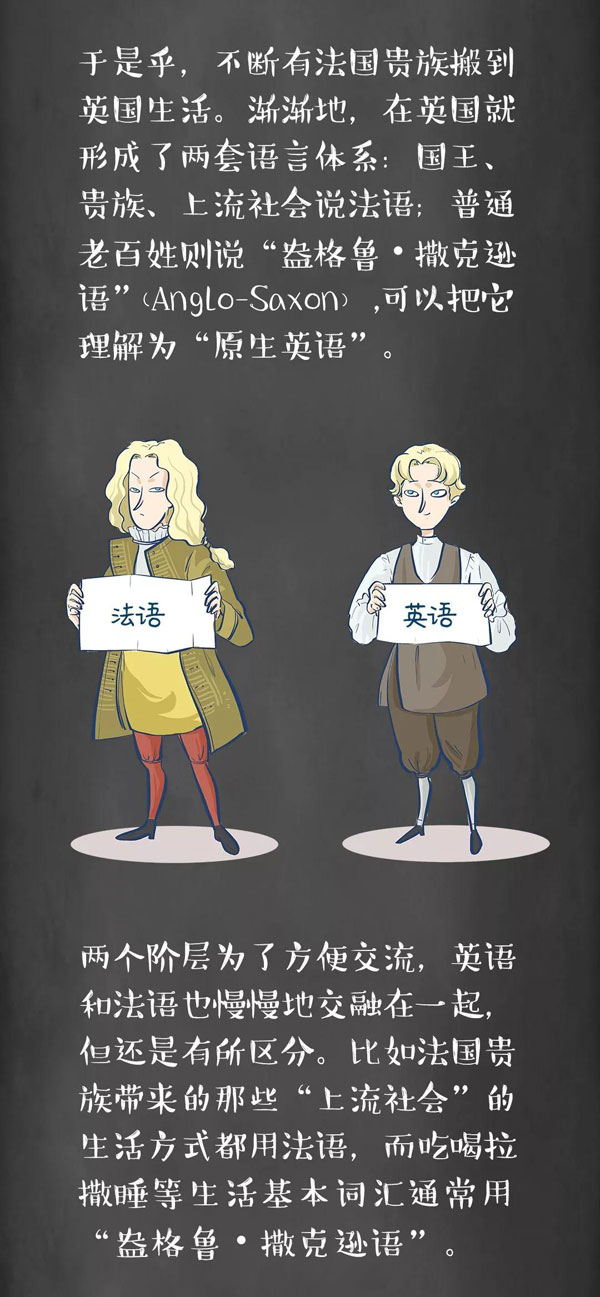為什么牛是cow，而牛肉卻是beef？