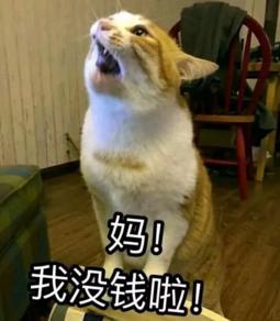 大學(xué)四年，我get了這些神技能