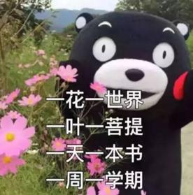 大學(xué)四年，我get了這些神技能