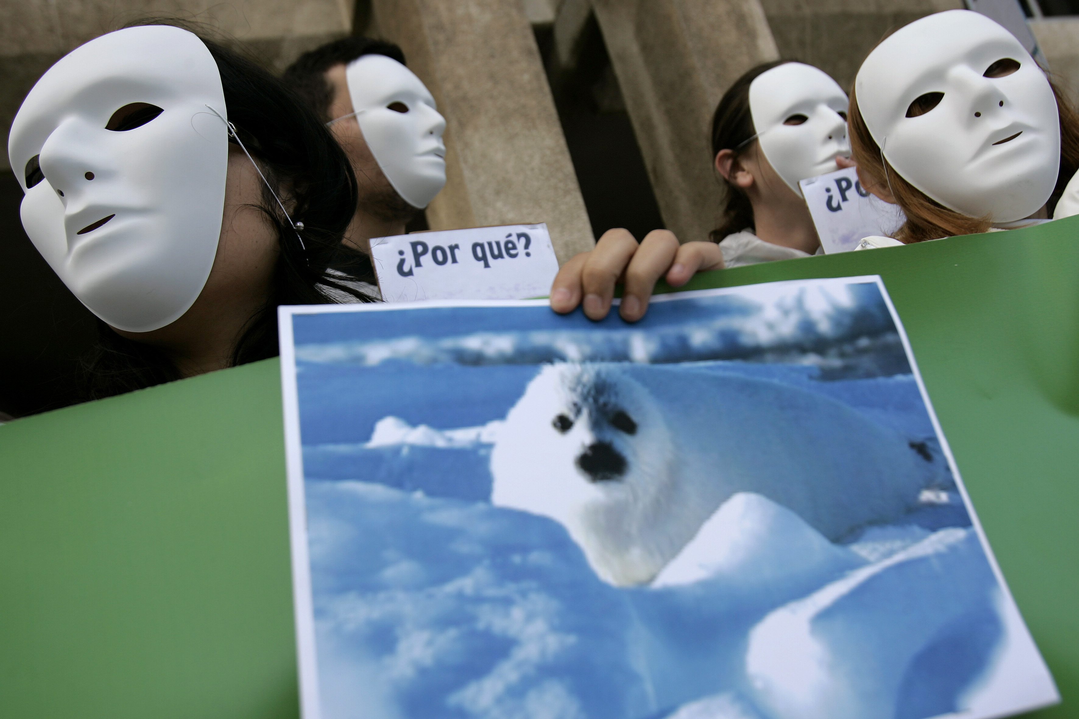 Protests against Canada's seal hunt