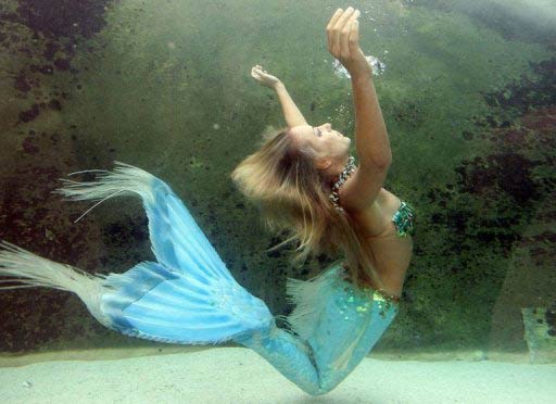 美國(guó)政府稱世上不存在美人魚