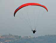 Flying with the birds