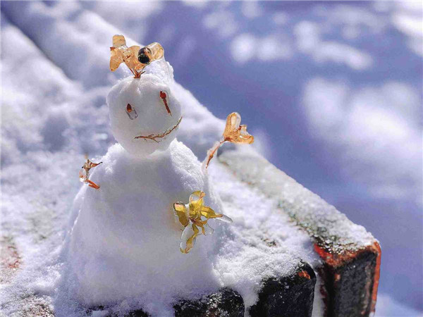 First snow in NE China university campus into winter wonderland