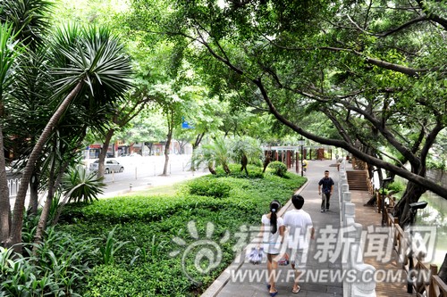 榕大力推進(jìn)城市生態(tài)環(huán)境建設(shè)：花香滿城綠意滿眼