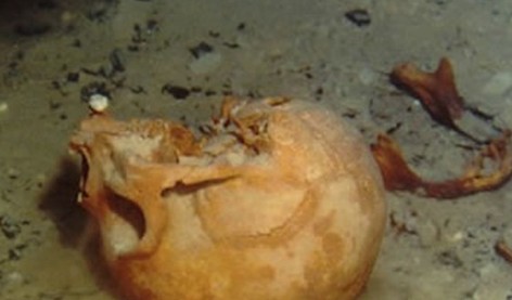 沉船遺骸 探秘不為人知的海底墳?zāi)?/></p>

<p>　　這張圖是考古學(xué)家在墨西哥一處水下洞穴中發(fā)現(xiàn)的女性骷髏頭，其生活時(shí)代可追溯到公元前1萬(wàn)年。</p>

<p>來(lái)源：國(guó)際在線   編輯：許銀娟</p>
</p>
</div>
</div>

<div   class=