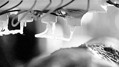 5個(gè)可3D打印制造的人體器官(組圖)