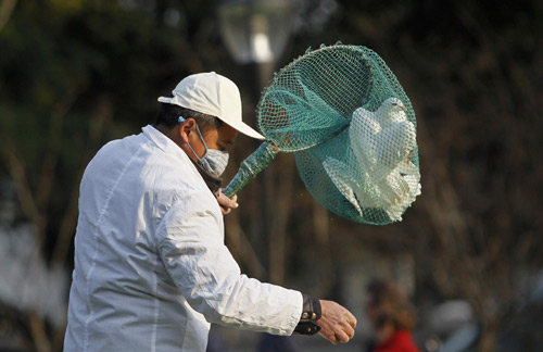 H7N9檢測試劑盒已發(fā)放