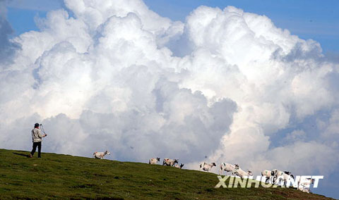 夏日青海湖[組圖]