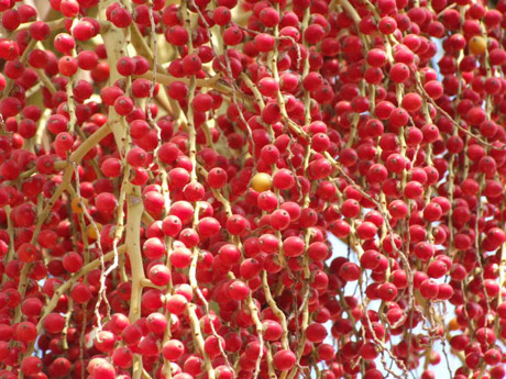 云南鳳慶縣營(yíng)盤(pán)鎮(zhèn)見(jiàn)聞