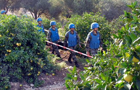 訓(xùn)練場(chǎng)邊誘人的橘子